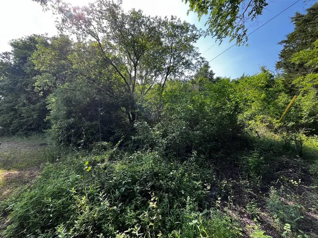 a view of a forest with a house in forest