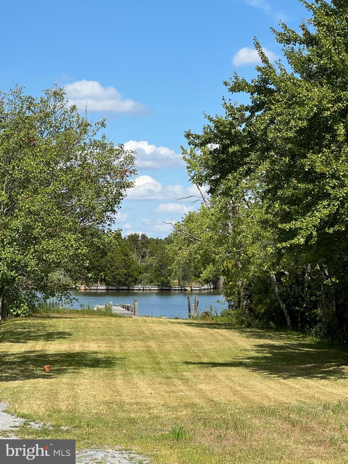29 Dock Avenue Waretown, NJ 08758 - Photo 17 of 21 a view of a swimming pool and trees in the background