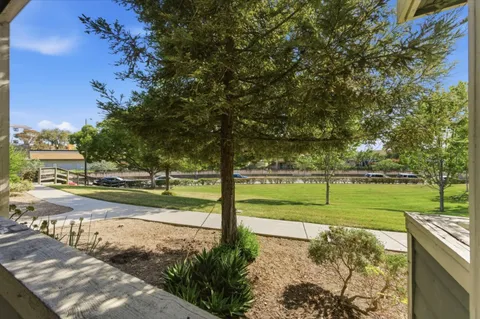 a view of a park with large trees