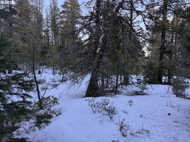 a view of a yard covered with snow in back