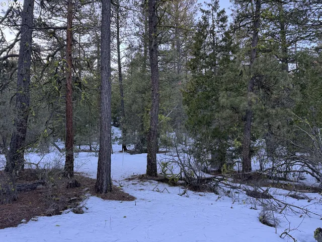 a backyard of a house with trees and outdoor space