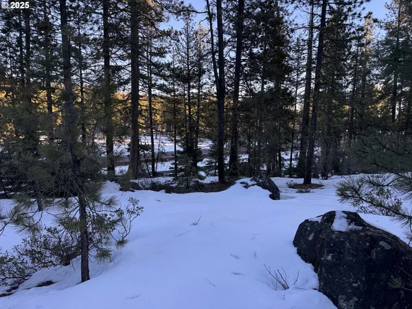 a view of a snow in a yard