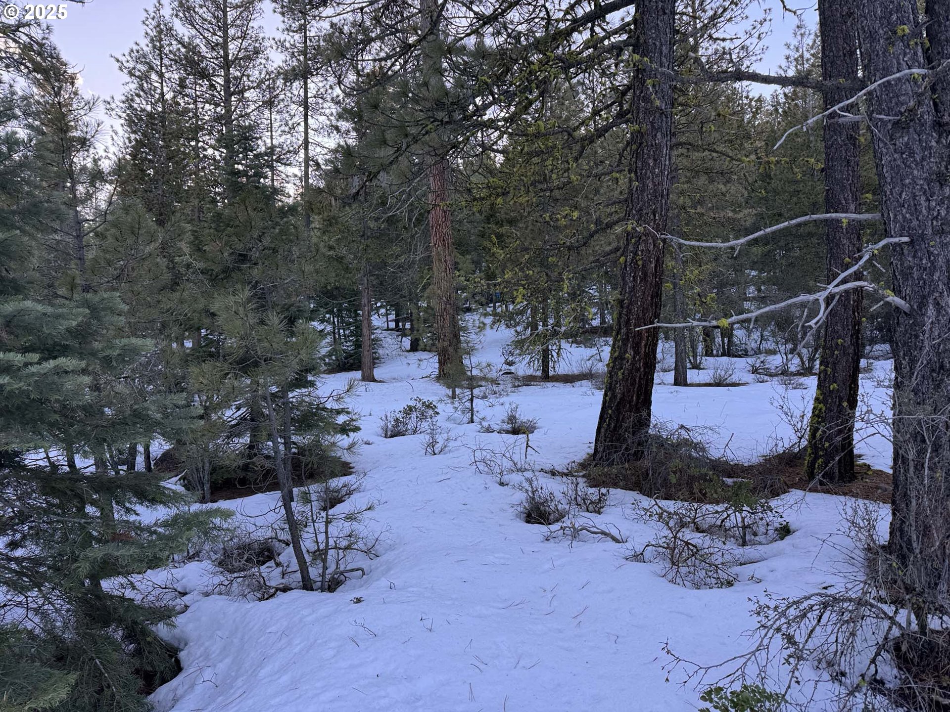 Horned Owl Lane Bonanza, OR 97623 - Photo 20 of 40 a view of outdoor space and yard