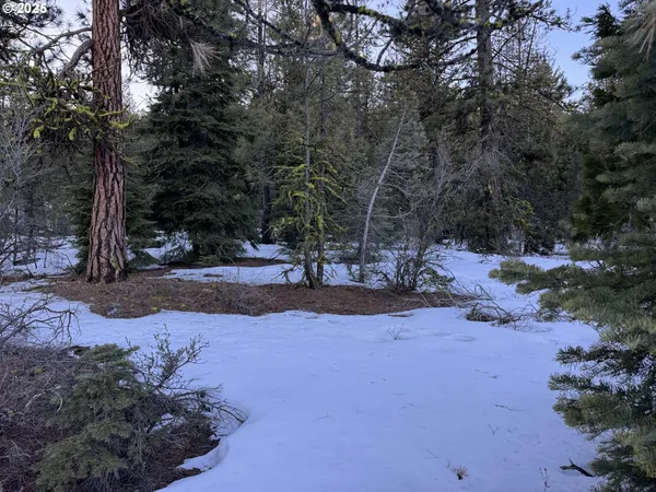 a view of outdoor space with trees