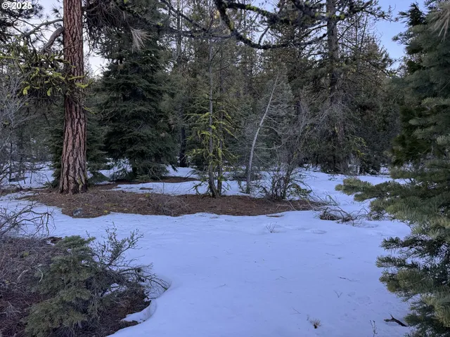 a view of outdoor space with trees