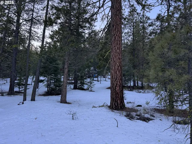 a view of a bike storage and covered with trees