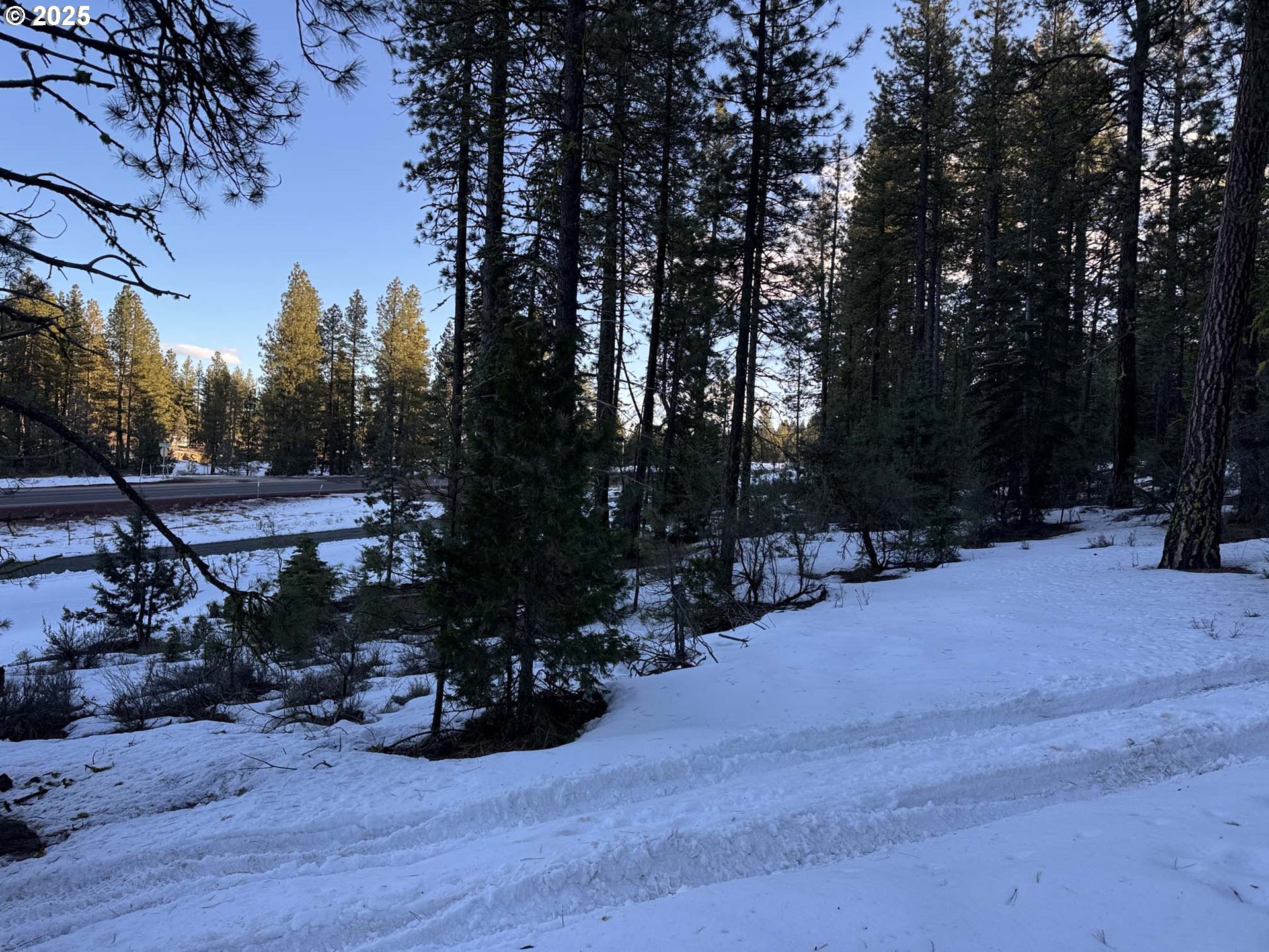 Horned Owl Lane Bonanza, OR 97623 - Photo 24 of 40 a view of outdoor space and yard