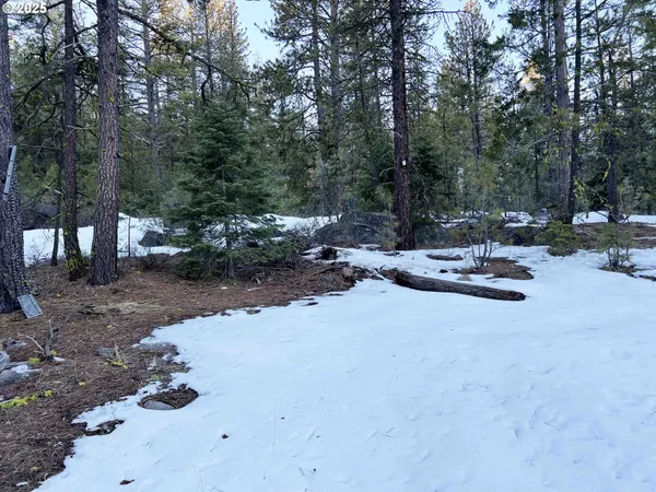 a view of a tree in the middle