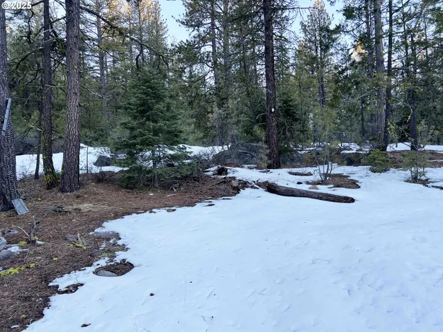 a view of a tree in the middle