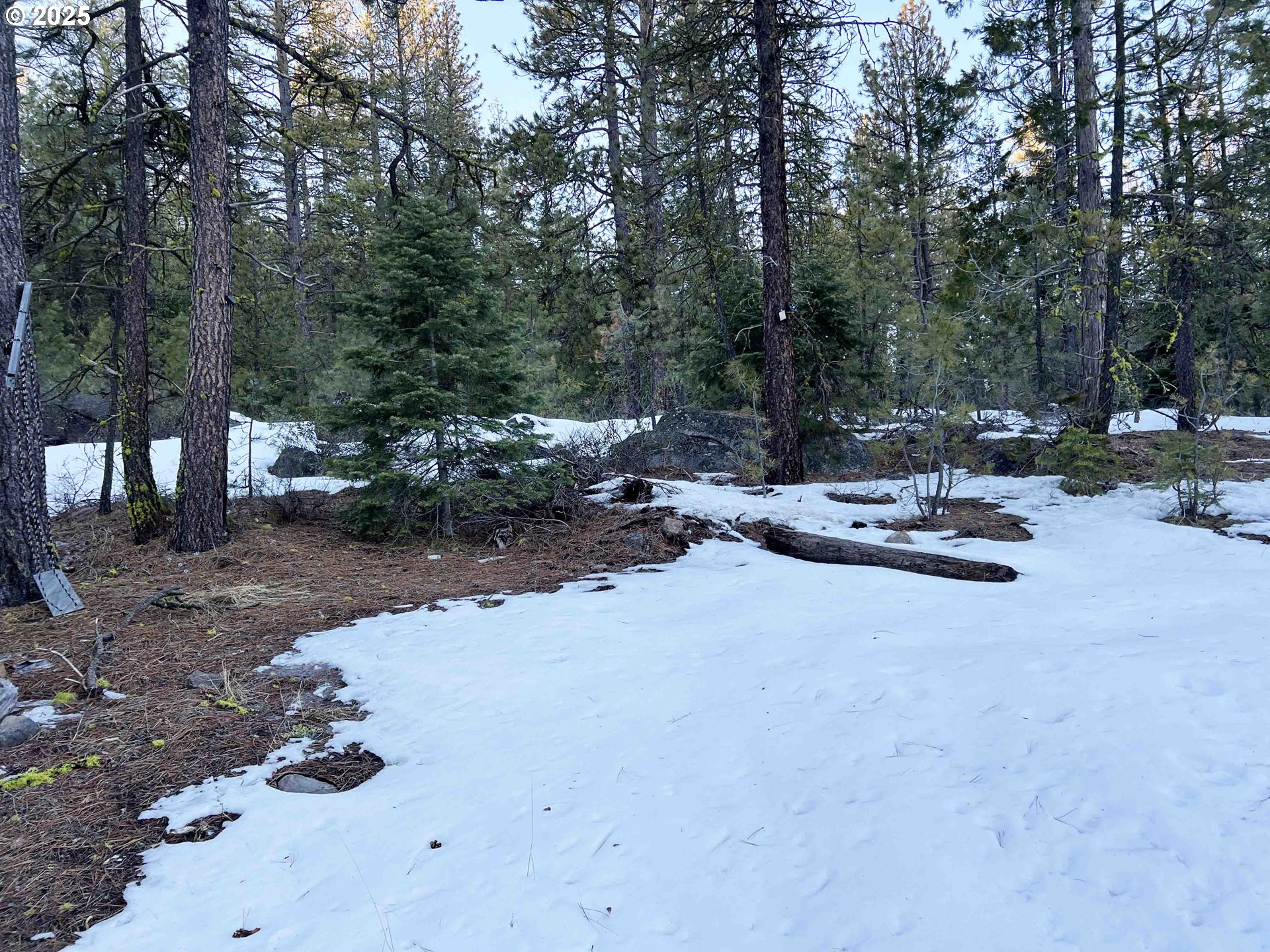 Horned Owl Lane Bonanza, OR 97623 - Photo 27 of 40 a row of trees and fire pit in the row