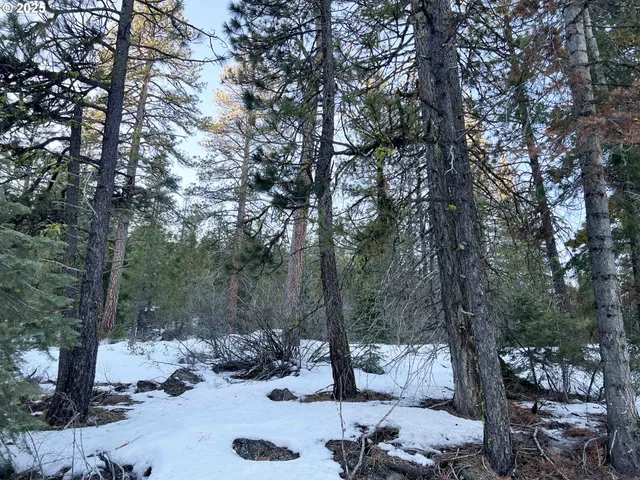 a view of outdoor space with trees