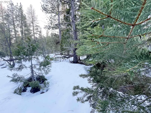 a black and white photo of a house
