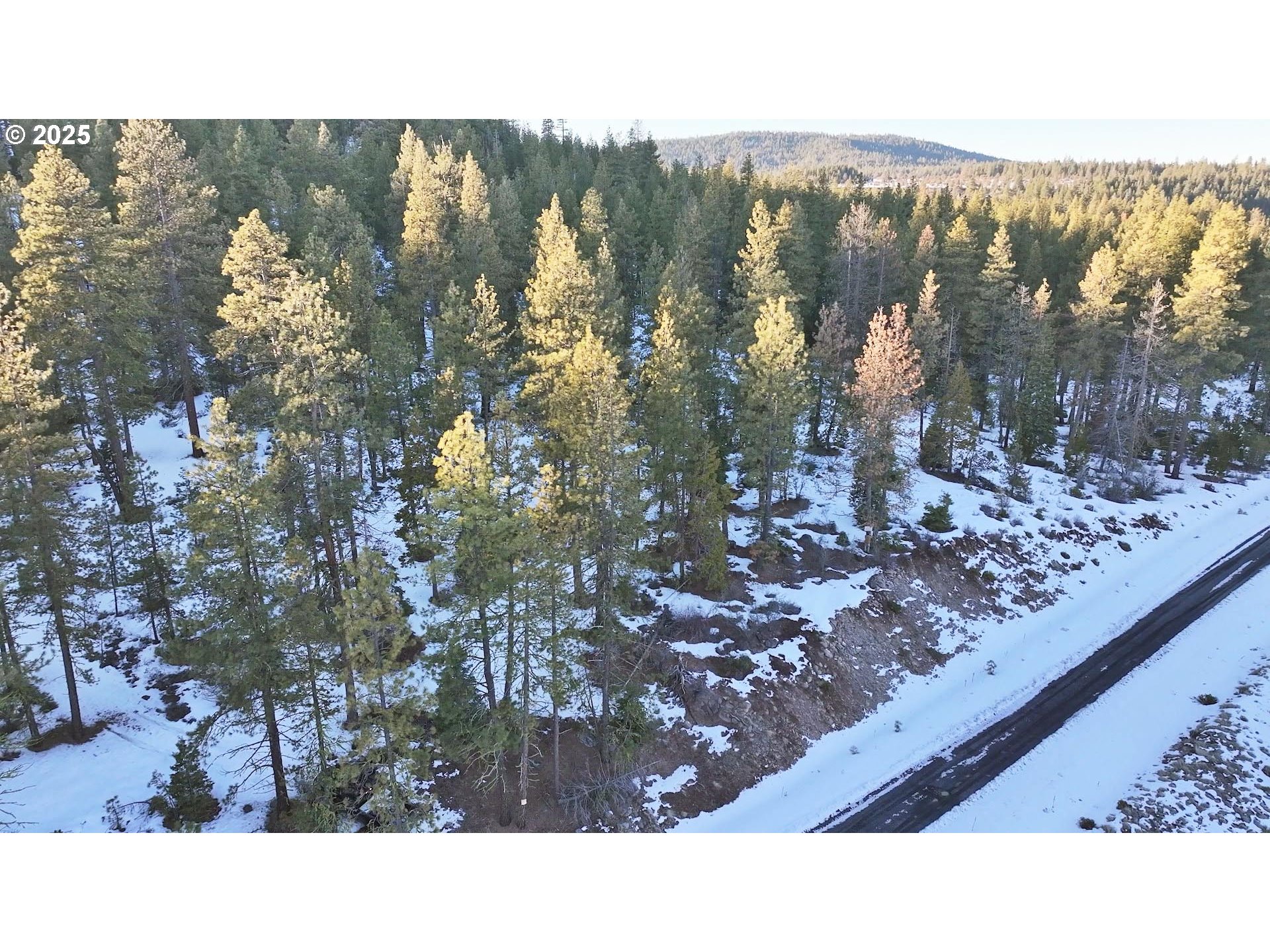 Horned Owl Lane Bonanza, OR 97623 - Photo 31 of 40 a black and white photo of a house