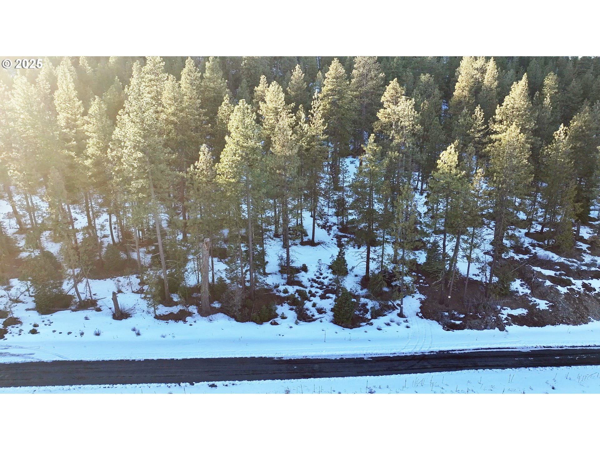 Horned Owl Lane Bonanza, OR 97623 - Photo 32 of 40 a black and white photo of a book