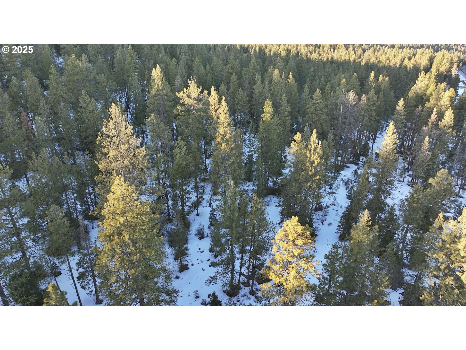Horned Owl Lane Bonanza, OR 97623 - Photo 33 of 40 a black and white photo of a house