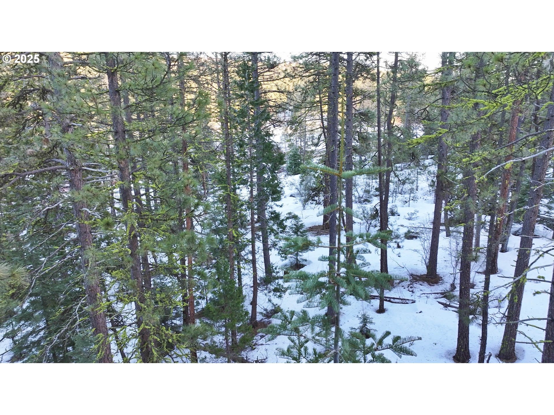 Horned Owl Lane Bonanza, OR 97623 - Photo 34 of 40 a black and white photo of a house