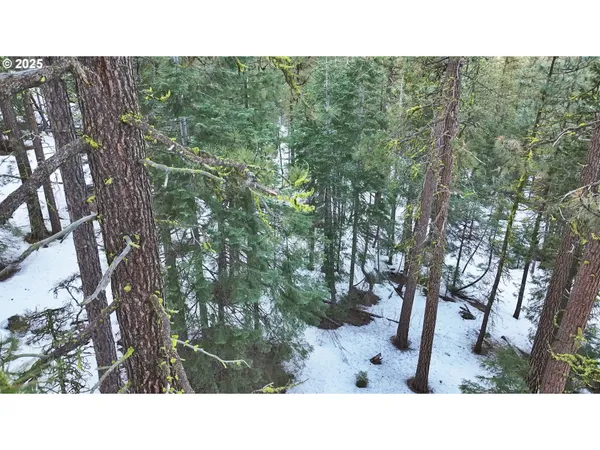 a black and white photo of a house