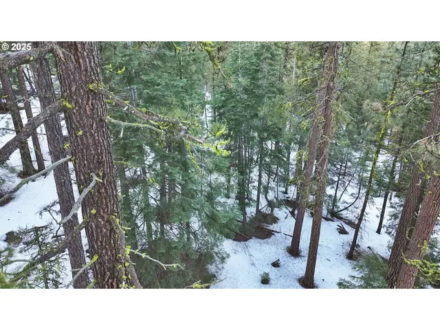 a black and white photo of a house