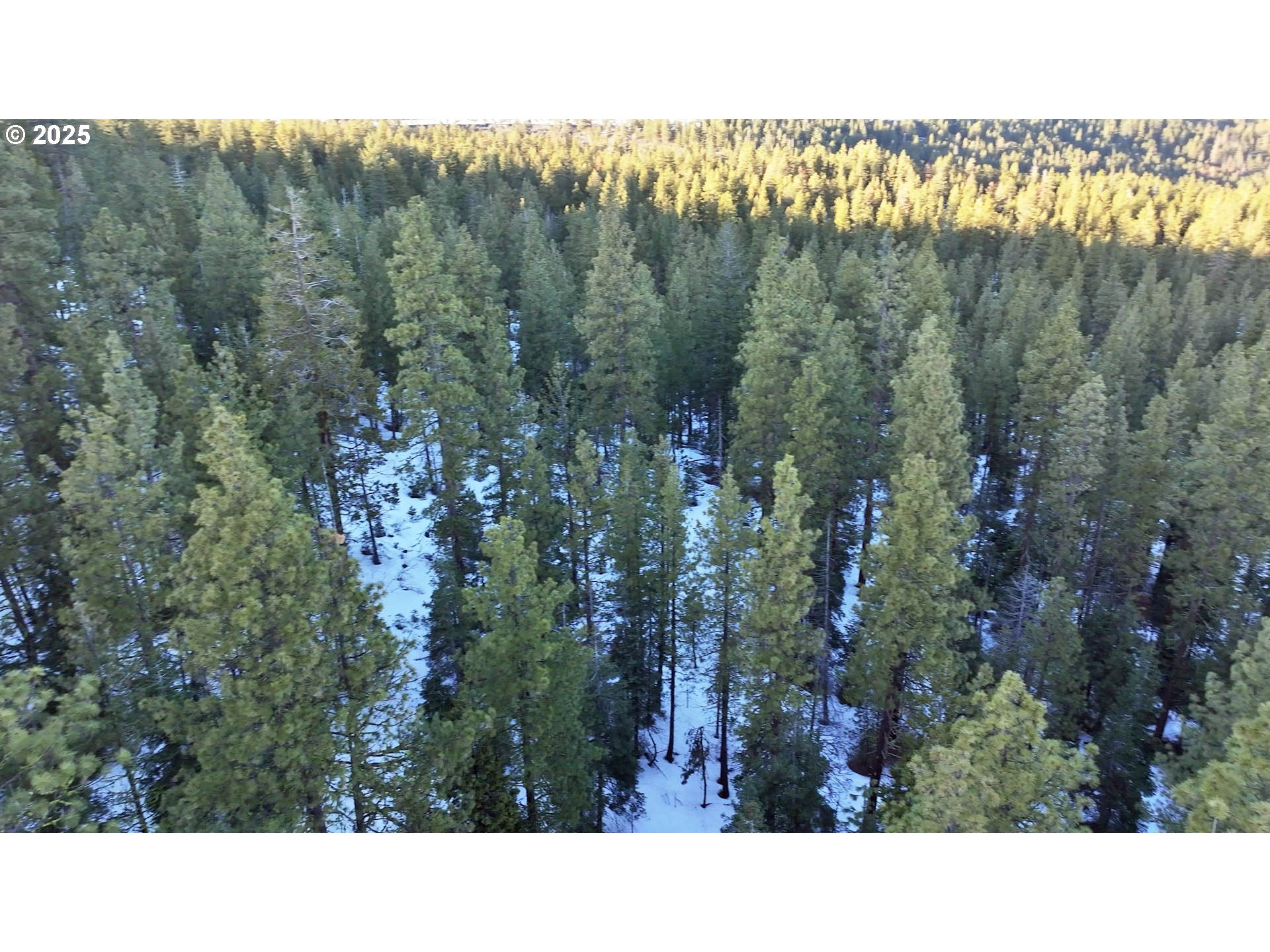 Horned Owl Lane Bonanza, OR 97623 - Photo 36 of 40 a black and white photo of a house