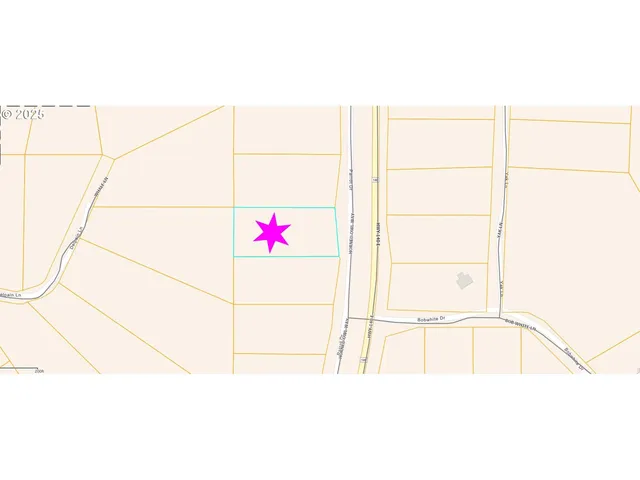 a black and white photo of a house