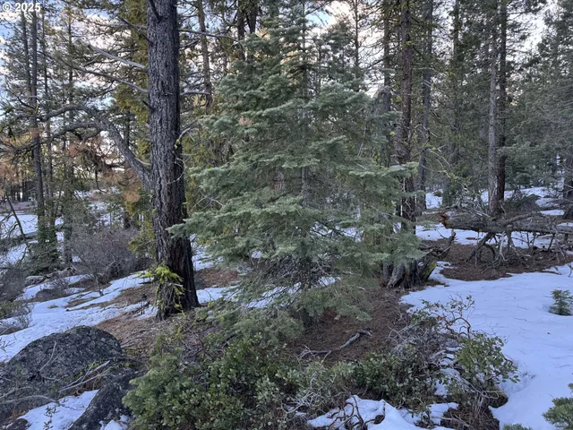 a view of outdoor space