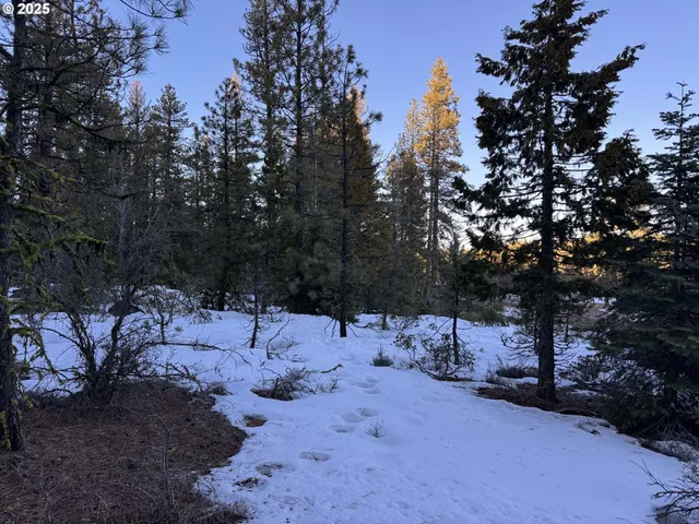 a view of a covered with snow in the yard