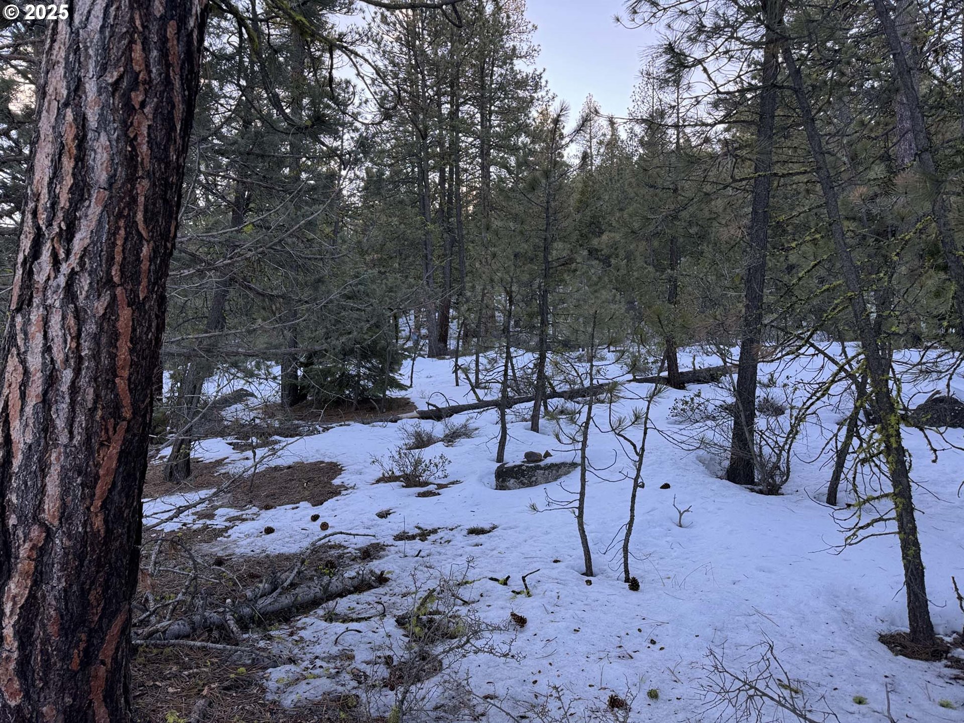 Horned Owl Lane Bonanza, OR 97623 - Photo 8 of 40 a view of outdoor space with seating