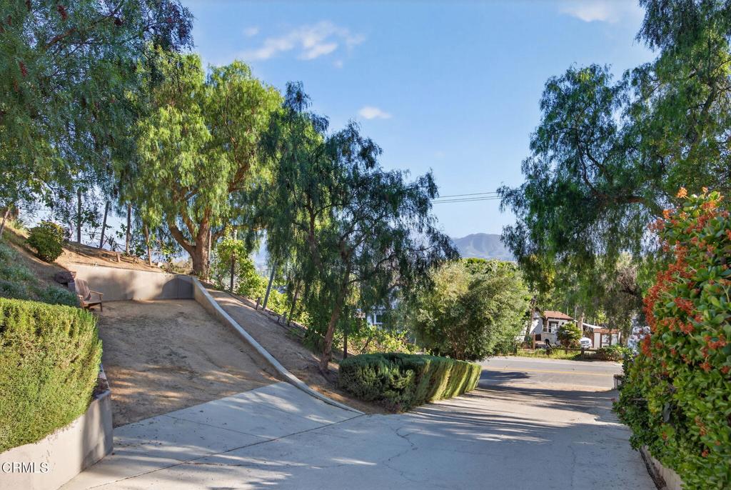 559 North Loop Drive Camarillo, CA 93010 - Photo 60 of 76 a view of a yard with potted plants and large trees