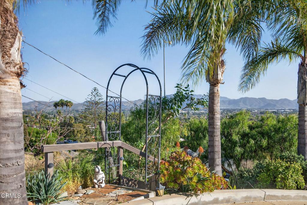 559 North Loop Drive Camarillo, CA 93010 - Photo 61 of 76 a view of a yard with a fountain