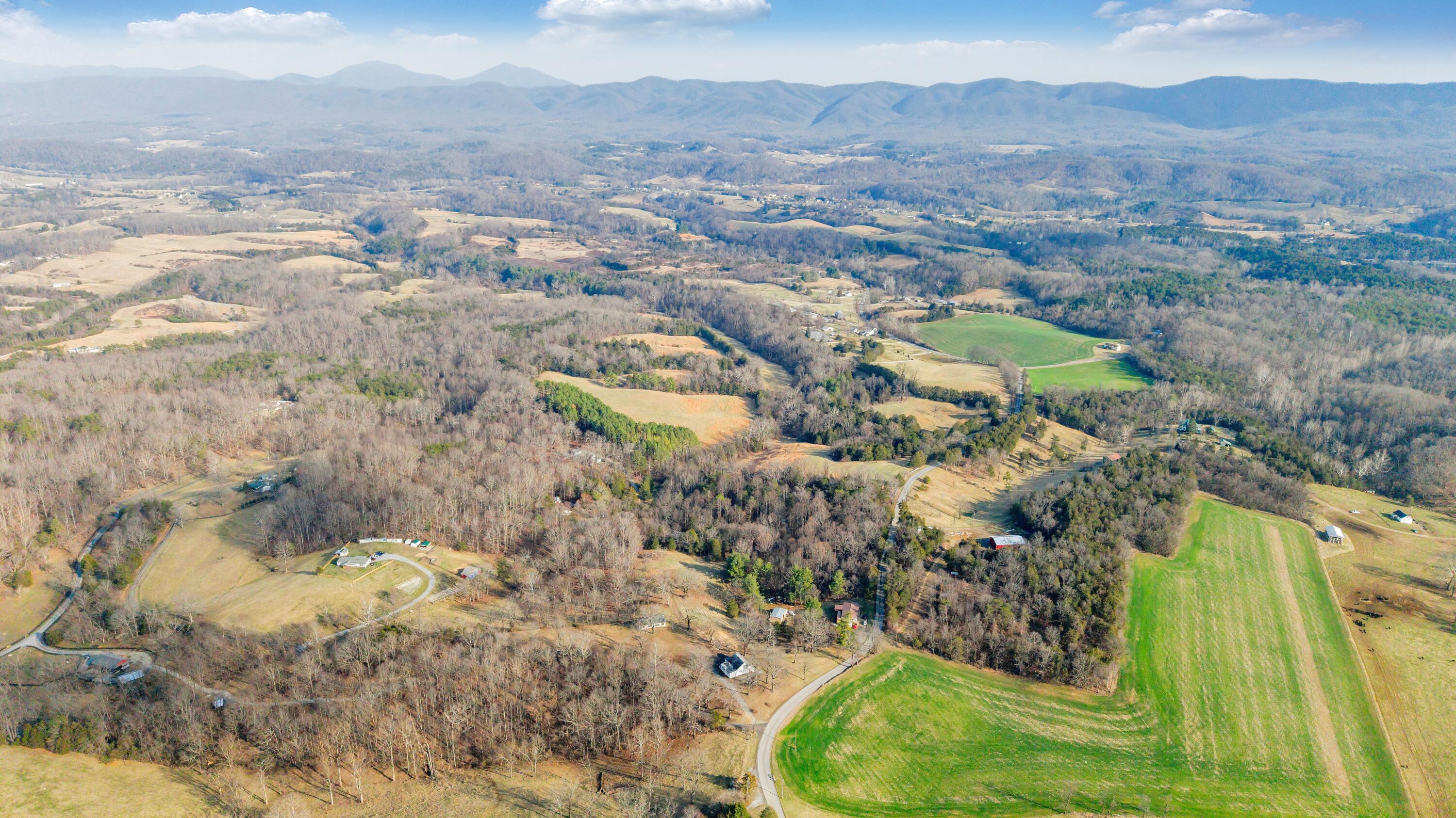 3770 Blue Ridge Turnpike Fincastle, VA 24090 - Photo 22 of 36 a view of a lot of trees and houses