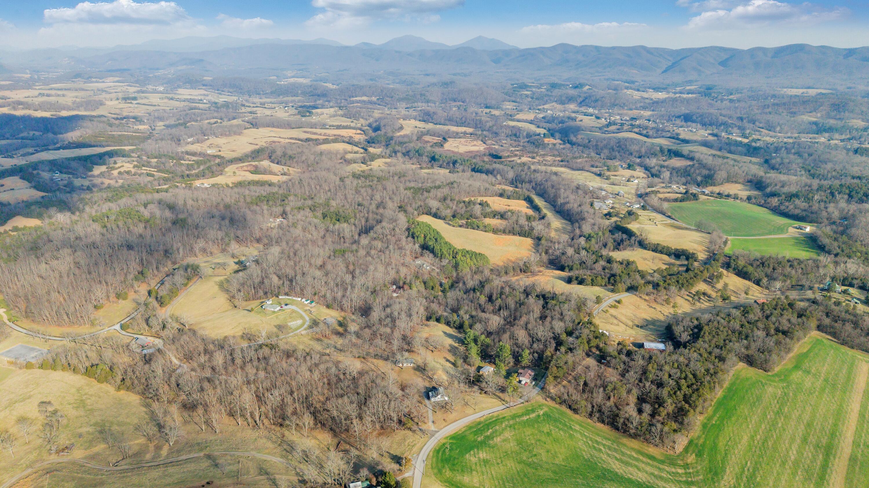 3770 Blue Ridge Turnpike Fincastle, VA 24090 - Photo 23 of 36 a view of city and mountain