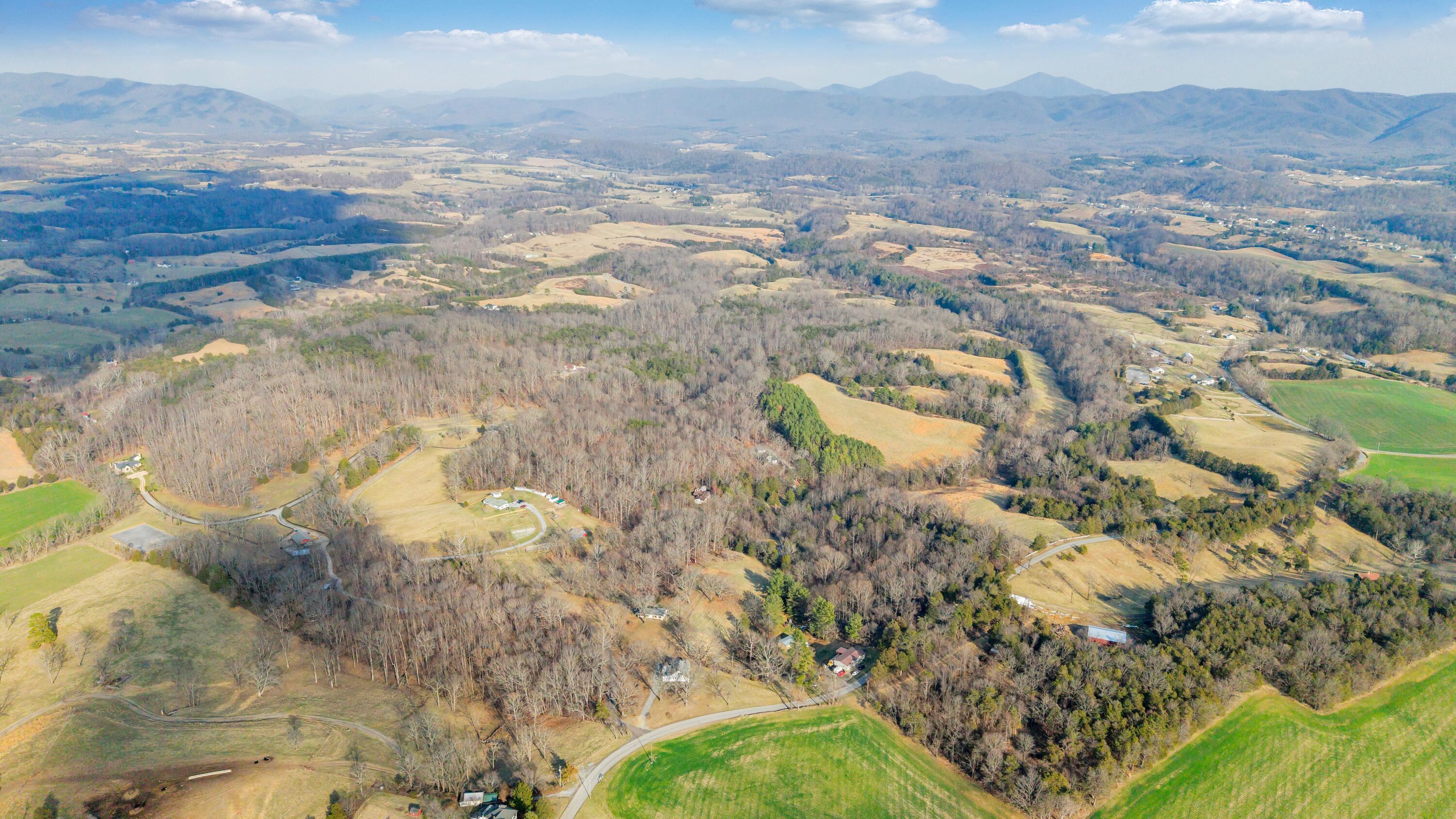 3770 Blue Ridge Turnpike Fincastle, VA 24090 - Photo 24 of 36 a view of lake view and mountain view