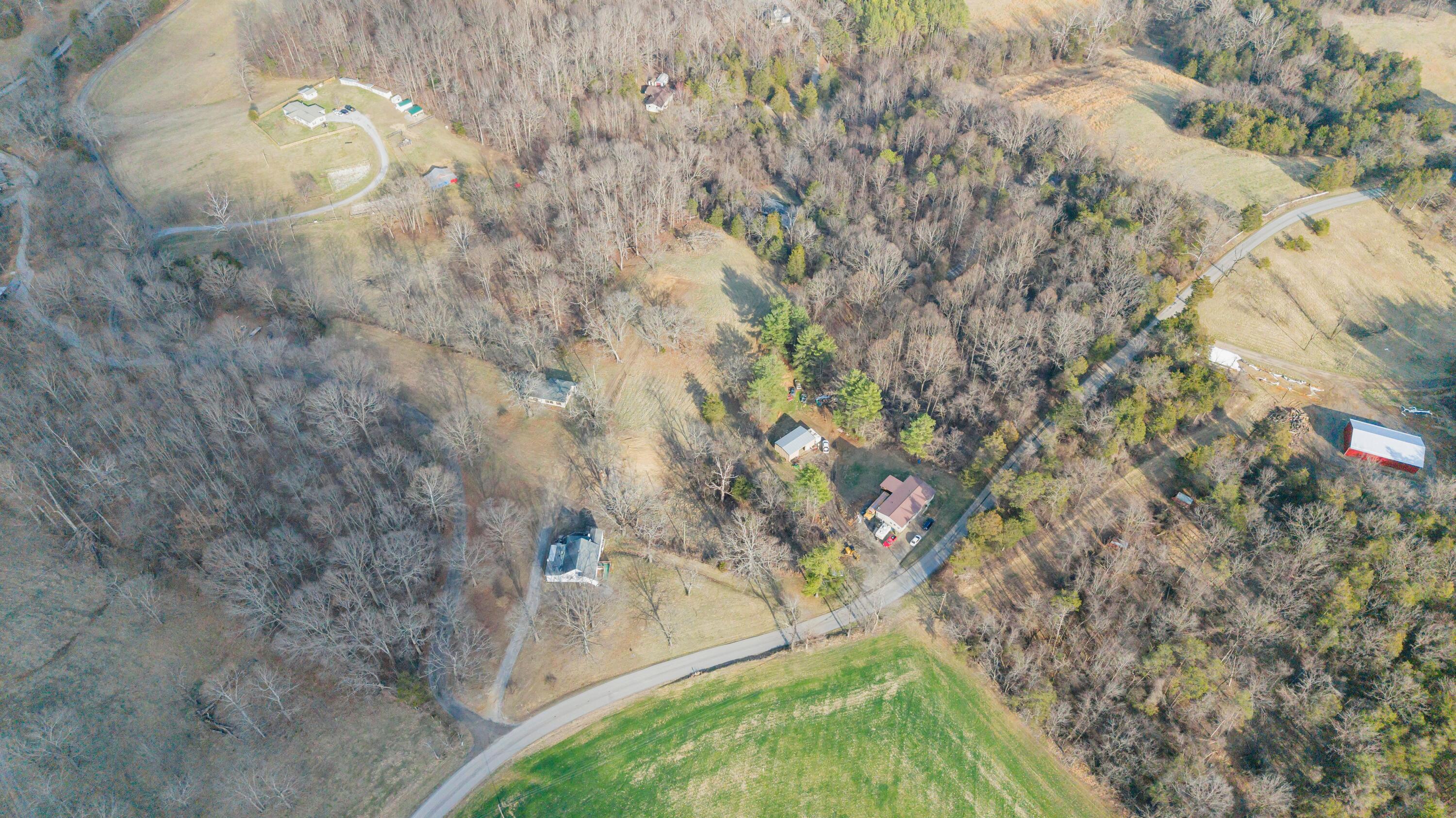 3770 Blue Ridge Turnpike Fincastle, VA 24090 - Photo 29 of 36 a picture of tree