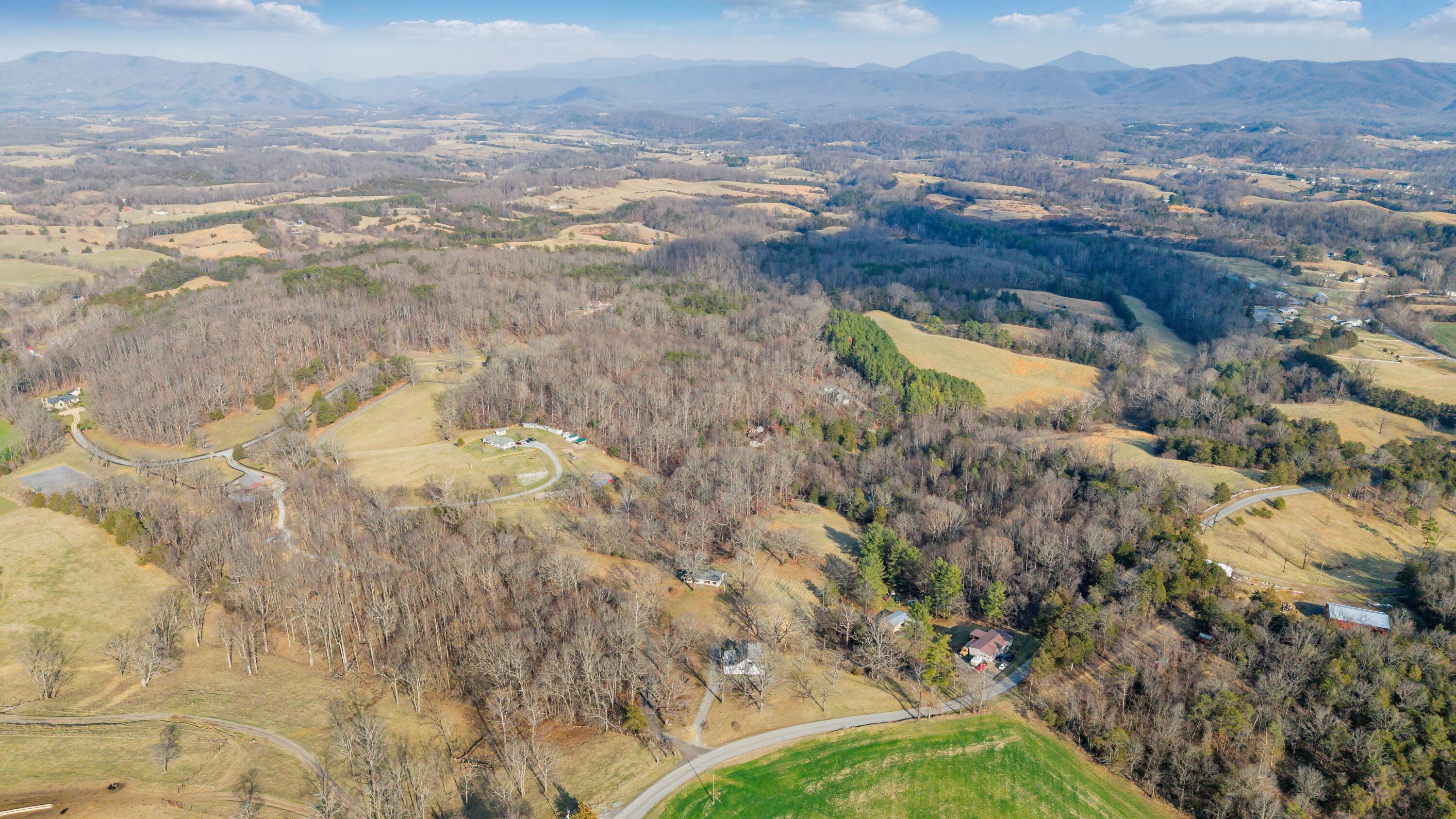 3770 Blue Ridge Turnpike Fincastle, VA 24090 - Photo 4 of 36 a view of lake view and mountain view
