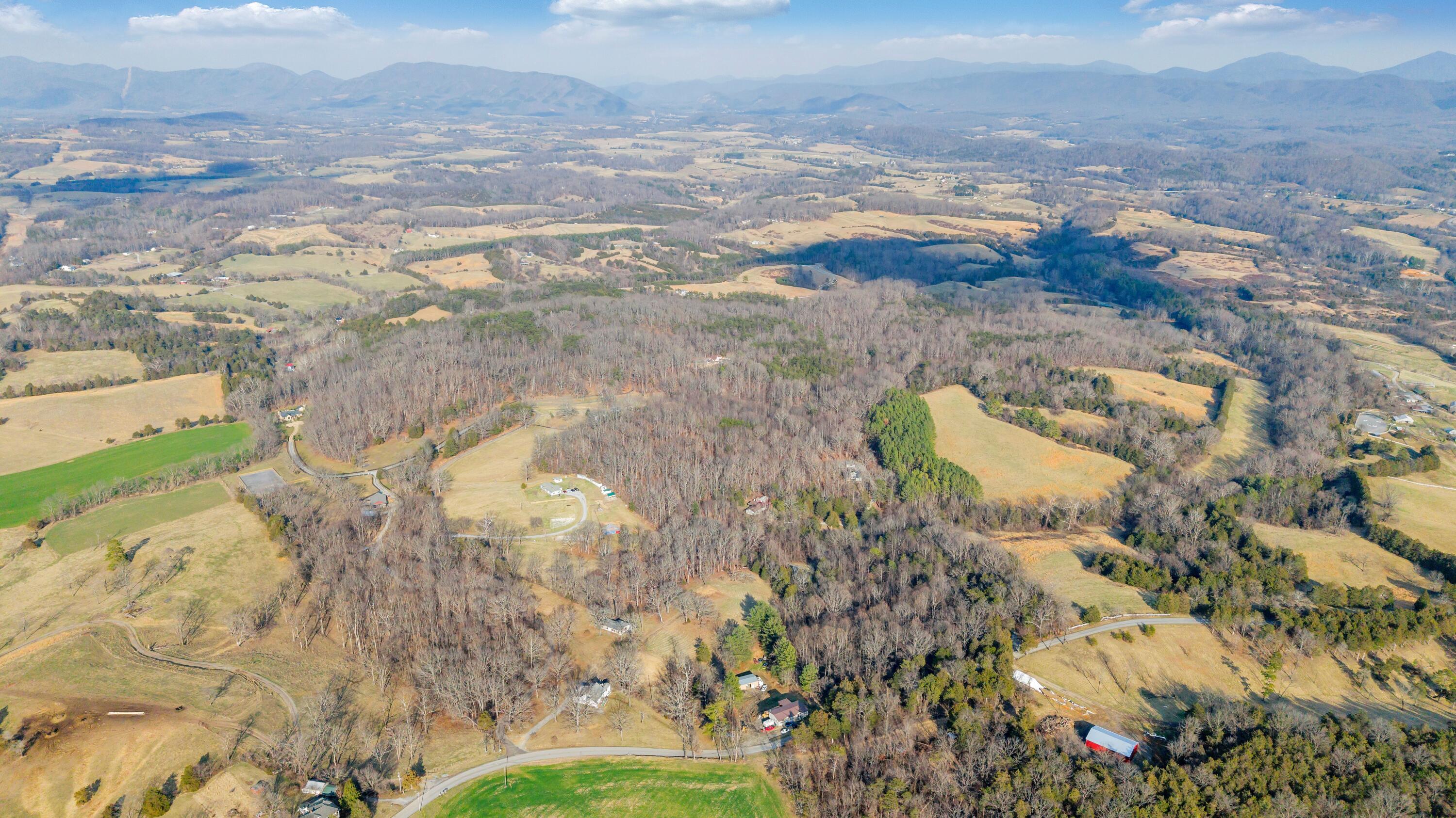 3770 Blue Ridge Turnpike Fincastle, VA 24090 - Photo 5 of 36 Blue Ridge - 5
