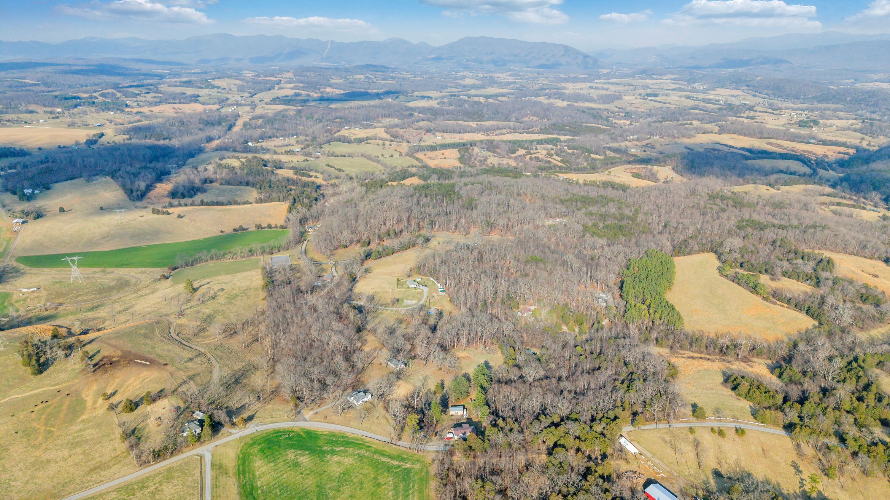 3770 Blue Ridge Turnpike Fincastle, VA 24090 - Photo 6 of 36 Blue Ridge - 6