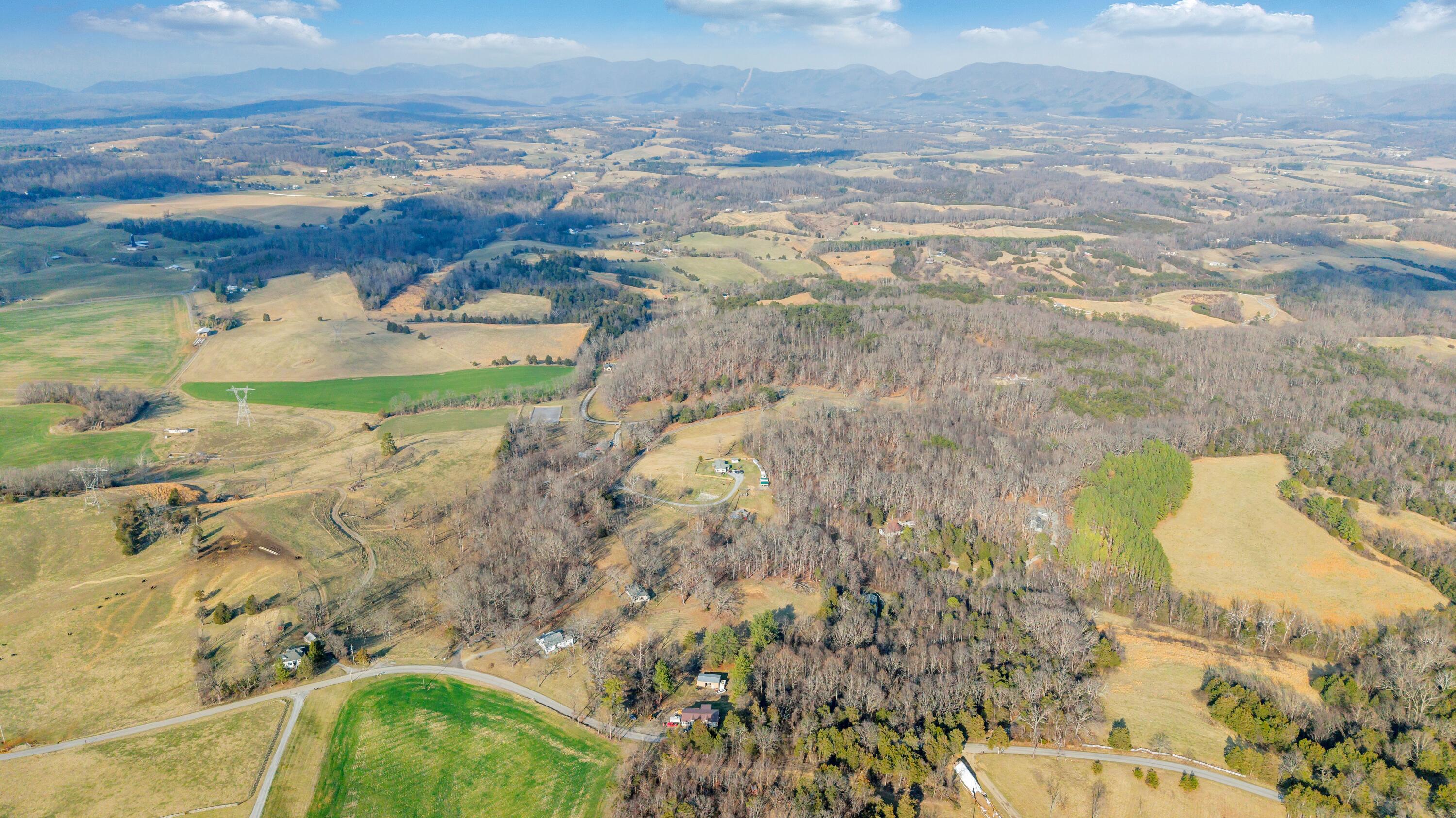 3770 Blue Ridge Turnpike Fincastle, VA 24090 - Photo 7 of 36 Blue Ridge - 7