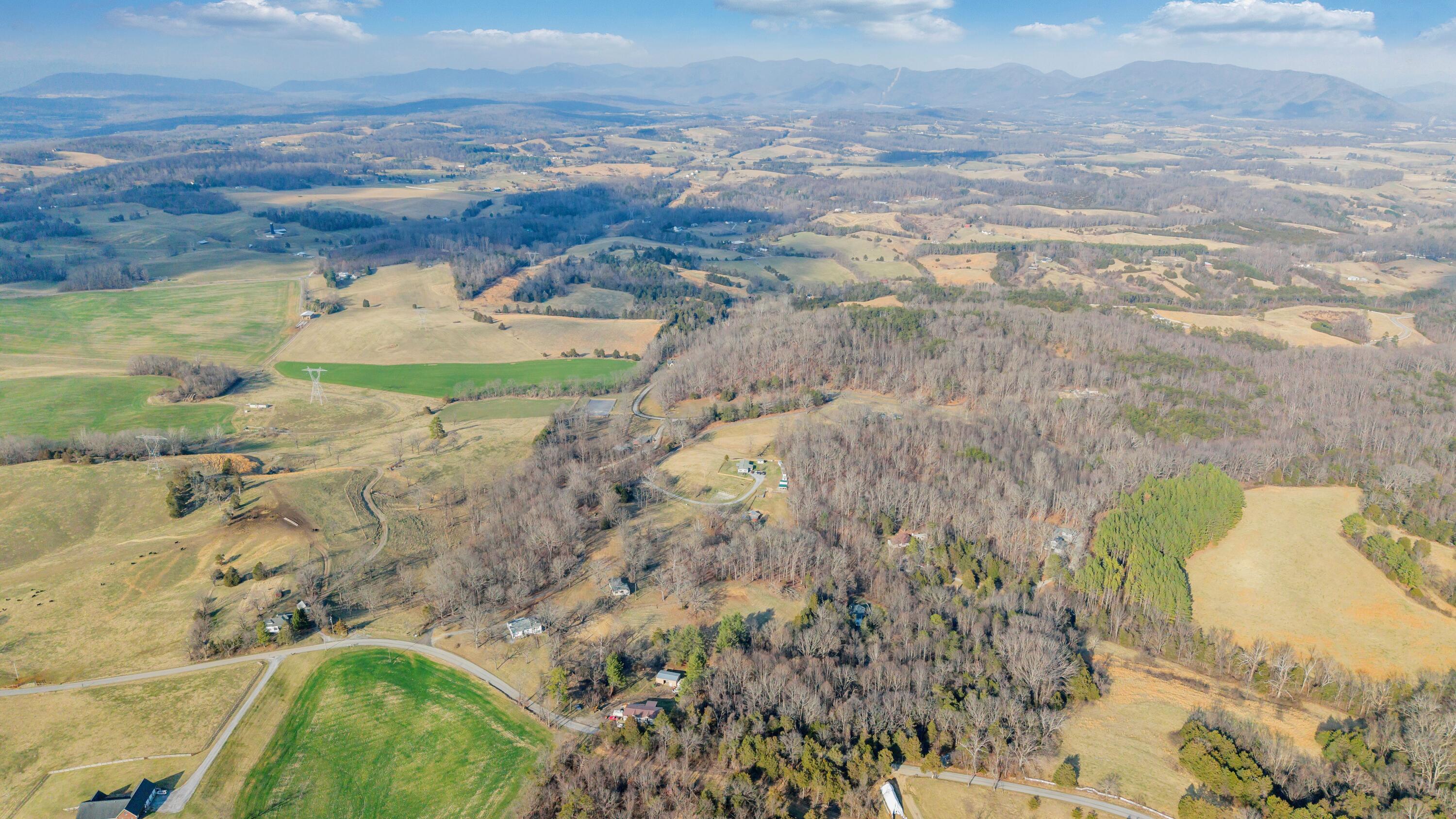 3770 Blue Ridge Turnpike Fincastle, VA 24090 - Photo 8 of 36 Blue Ridge - 8