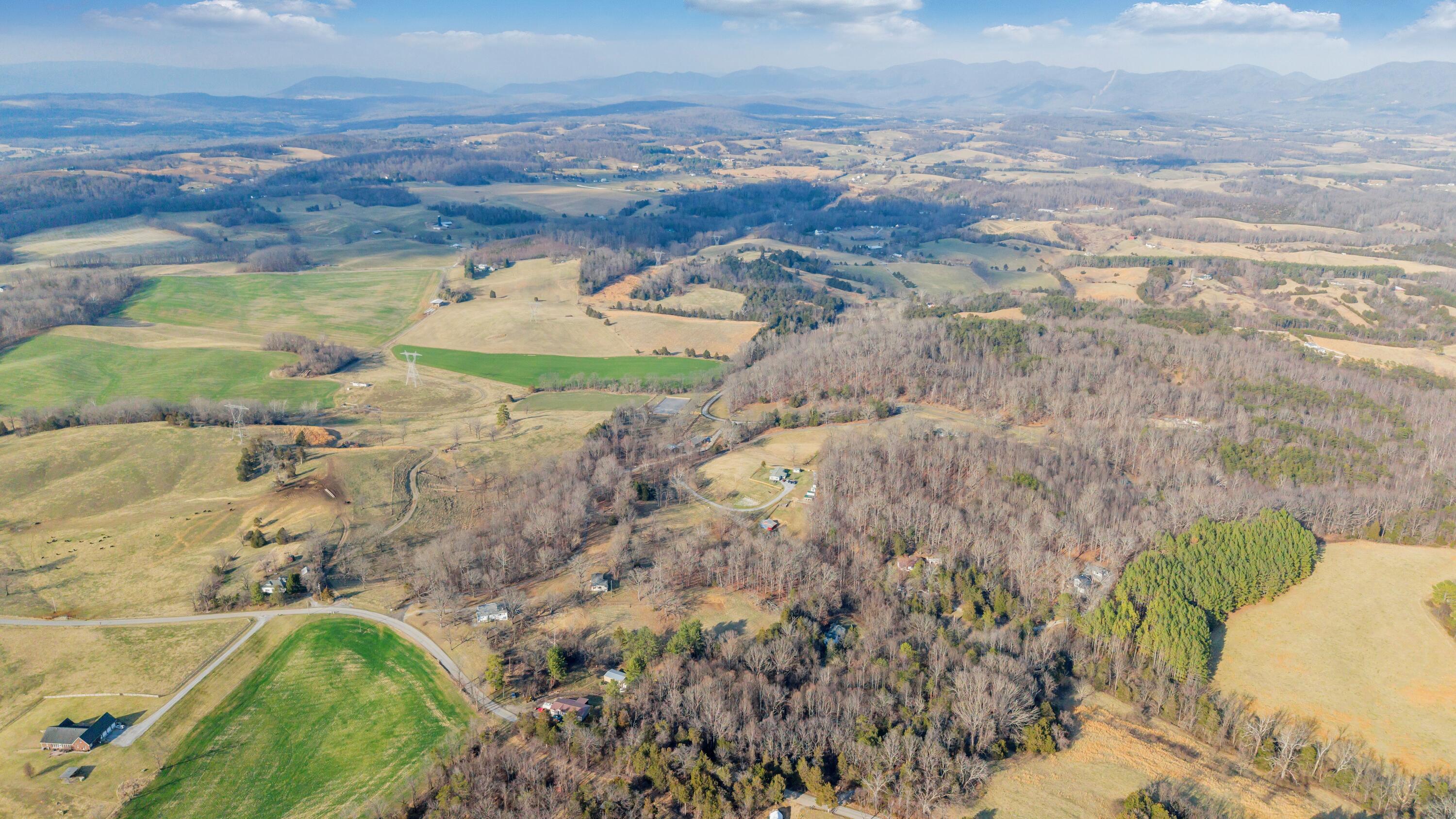 3770 Blue Ridge Turnpike Fincastle, VA 24090 - Photo 9 of 36 Blue Ridge - 9