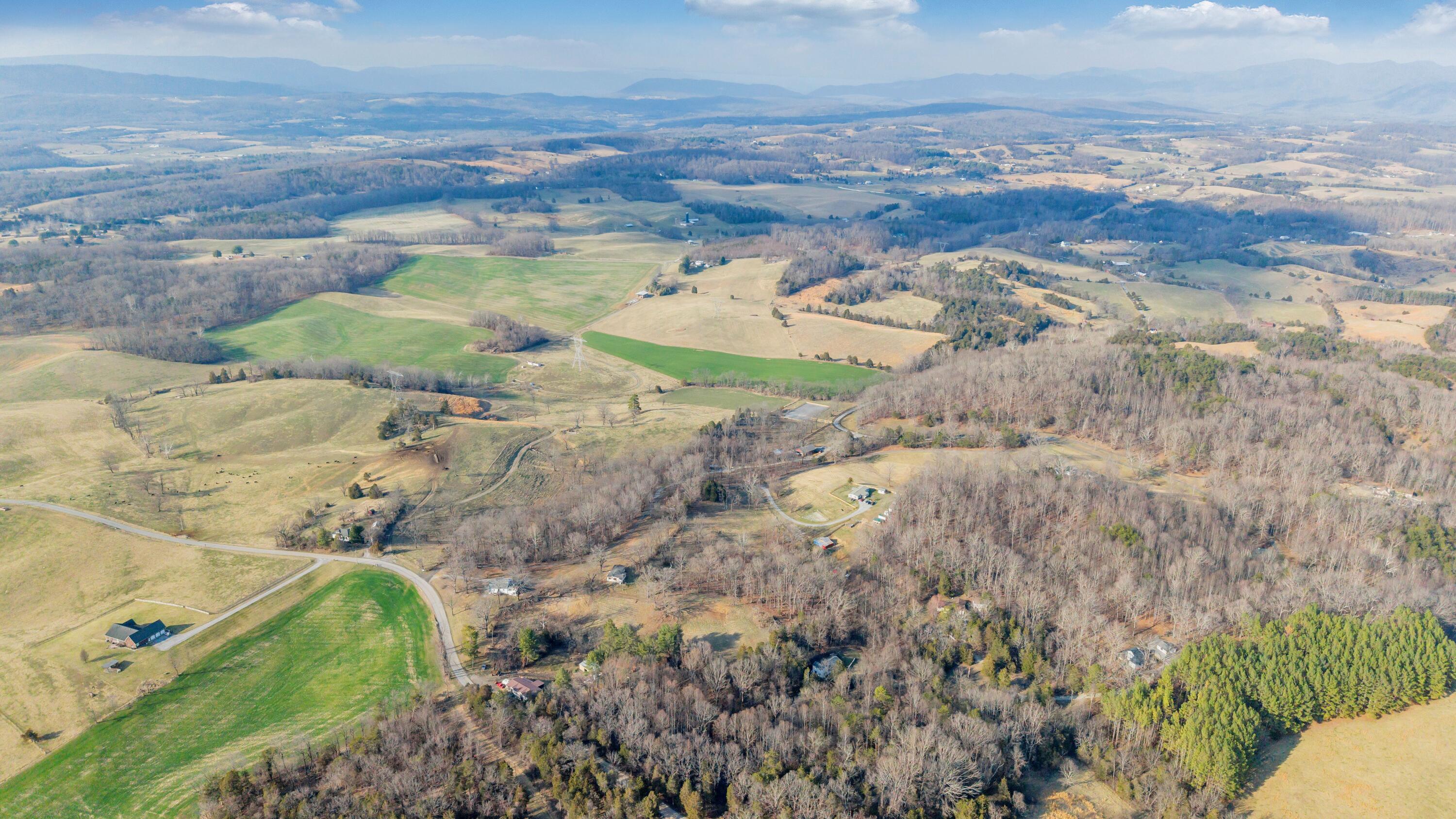 3770 Blue Ridge Turnpike Fincastle, VA 24090 - Photo 10 of 36 Blue Ridge - 10
