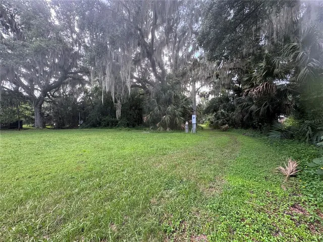 a view of a grassy field with trees