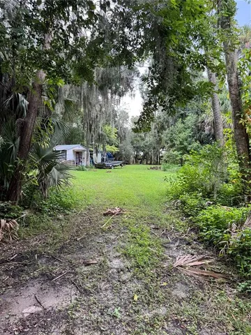 a view of a garden with trees