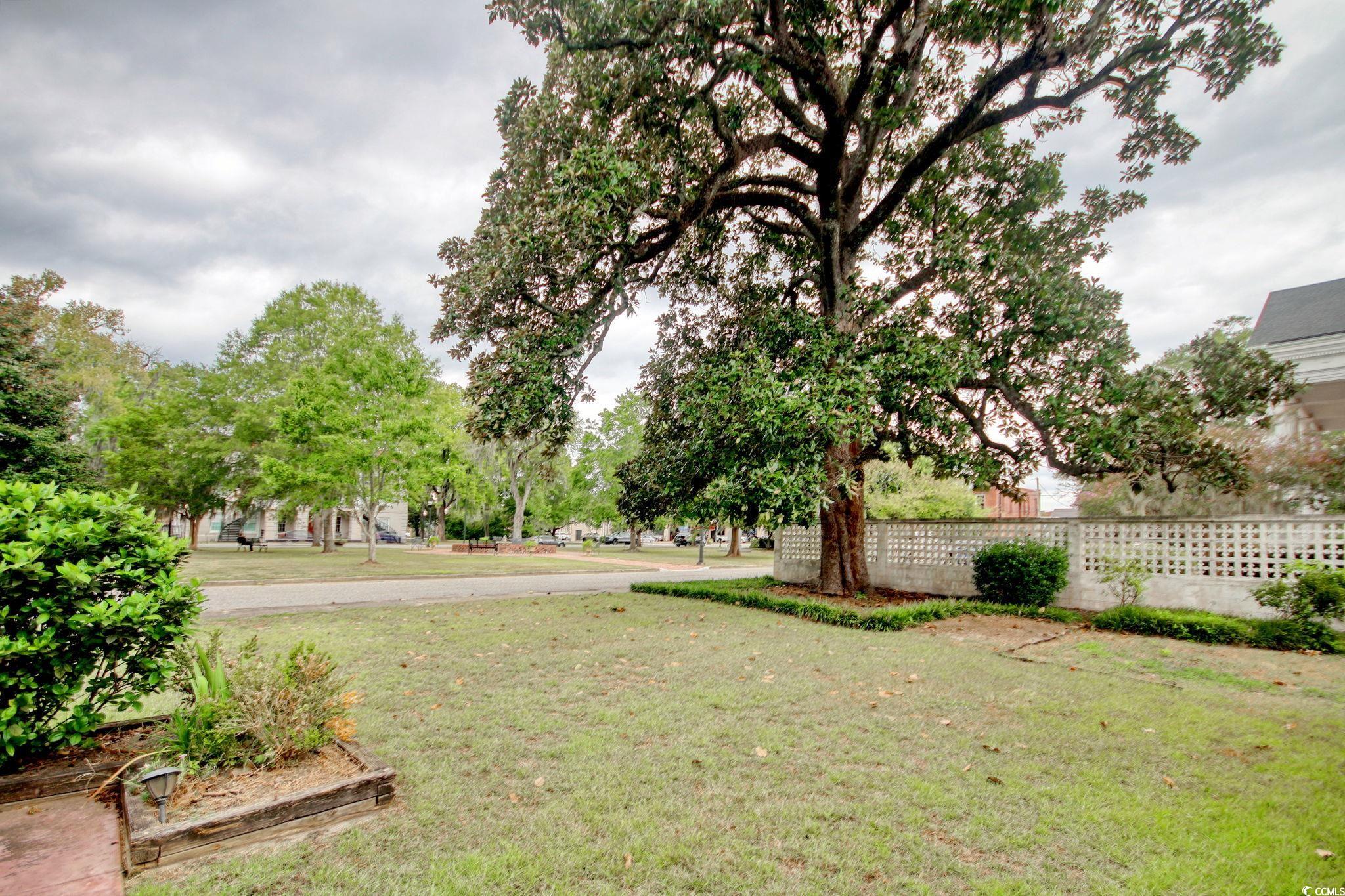 100 Northeast Ct Street Marion, SC 29571 - Photo 36 of 40 View of yard