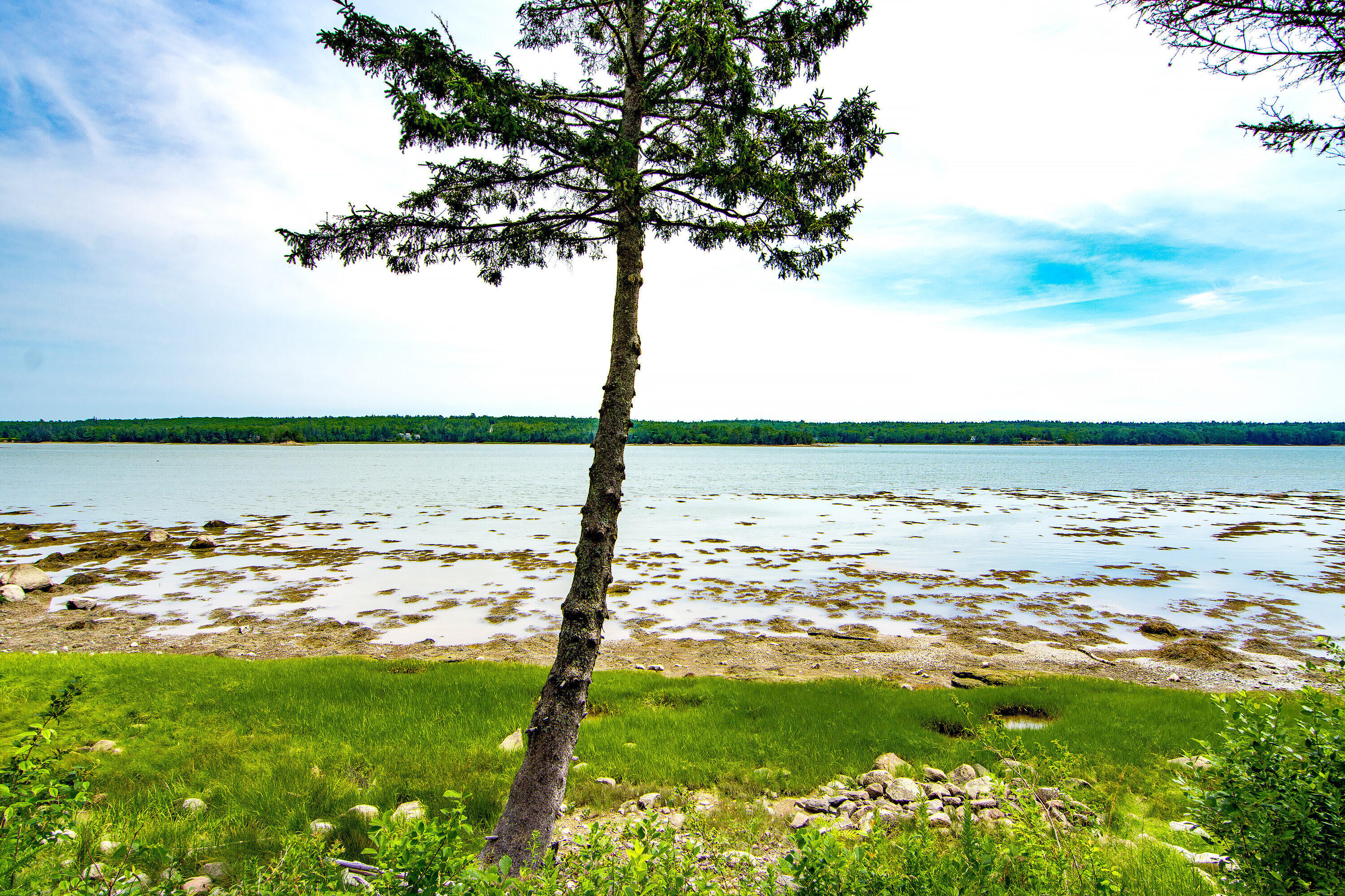 134 Redding Road Gouldsboro, ME 04607 - Photo 20 of 47 134 Redding Swedish ocean edge