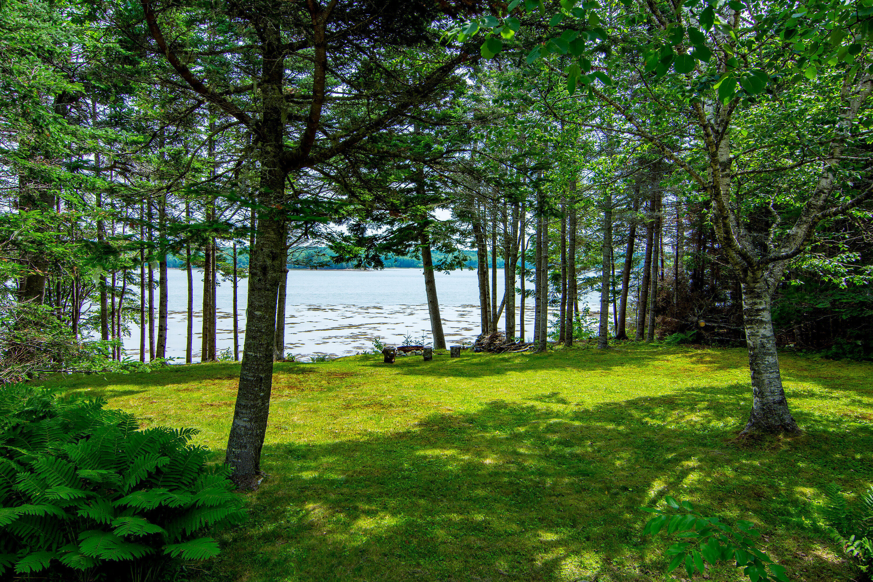 134 Redding Road Gouldsboro, ME 04607 - Photo 27 of 47 134 Redding Fiddlehead ext lawn and ocea