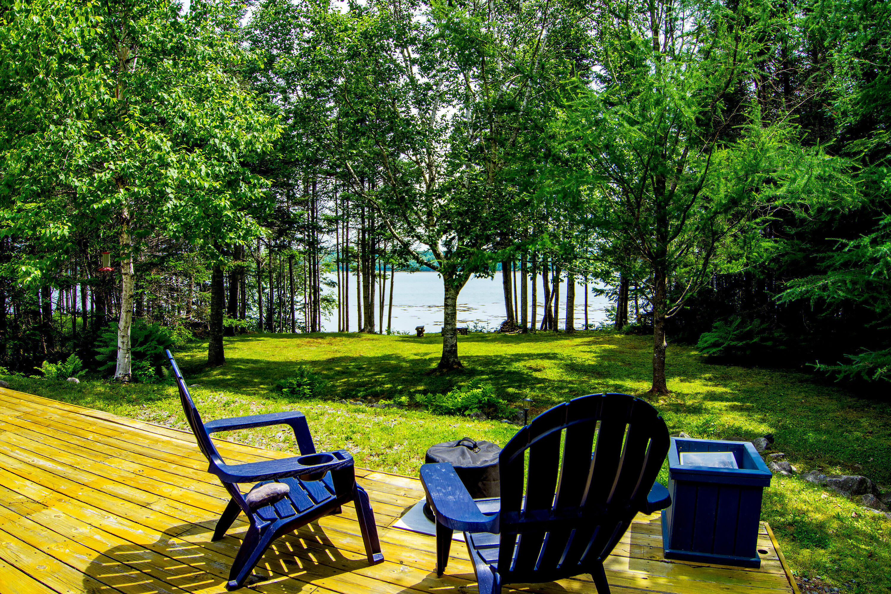 134 Redding Road Gouldsboro, ME 04607 - Photo 29 of 47 134 Redding Fiddlehead ext view from dec