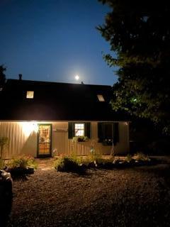 134 Redding Road Gouldsboro, ME 04607 - Photo 43 of 47 Fiddlehead by moonlight
