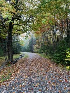 134 Redding Road Gouldsboro, ME 04607 - Photo 46 of 47 Private driveway