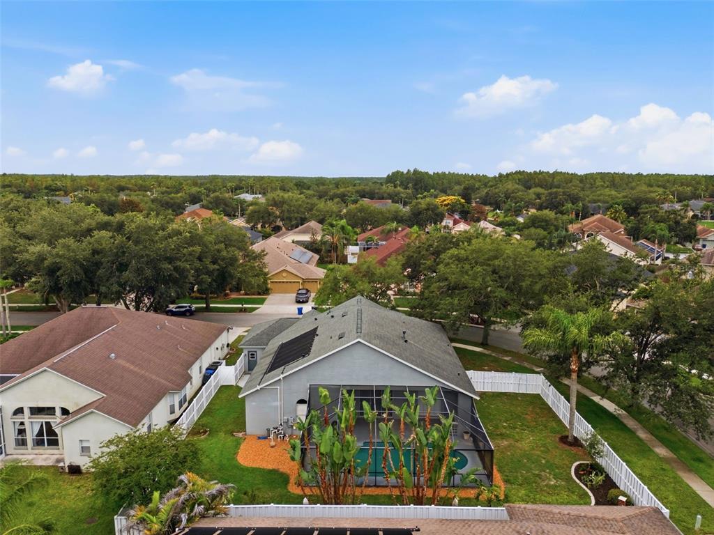 19348 Wind Dancer Street Lutz, FL 33558 - Photo 79 of 83