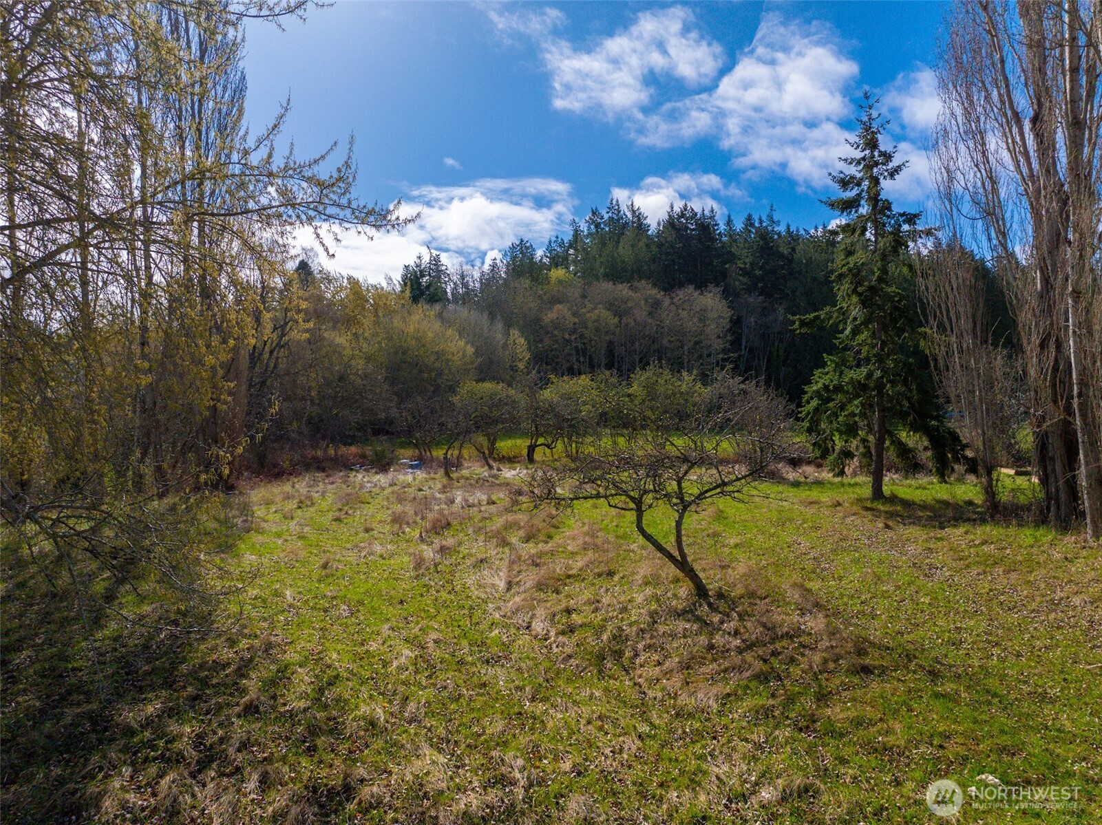 4011 Commercial Avenue Anacortes, WA 98221 - Photo 6 of 10 a view of backyard with green space